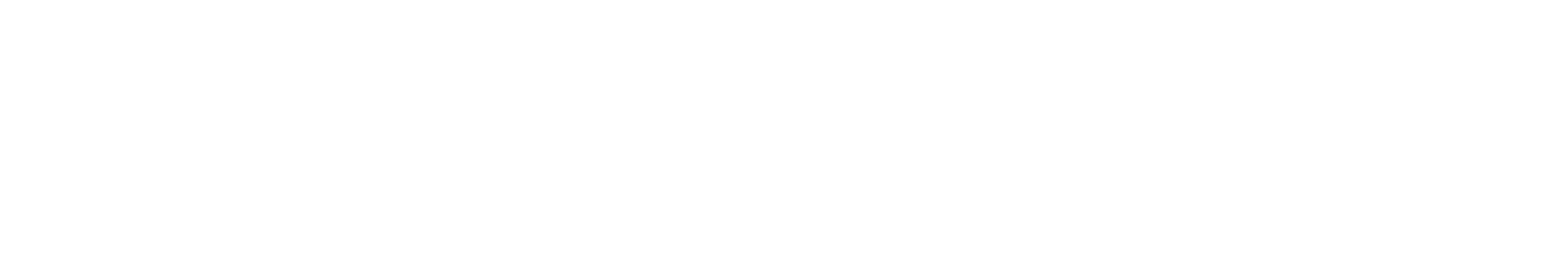 „NEXT Carlogistic Inh. Ridvan Kaplan“-Logo, zur Startseite
